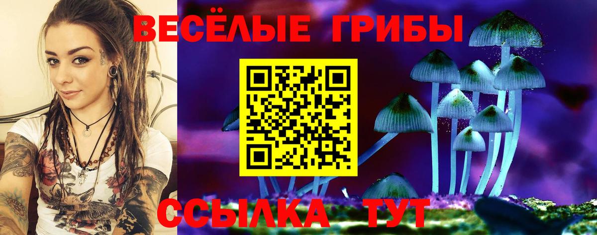 Псилоцибиновые грибы Psilocybe Жигулёвск